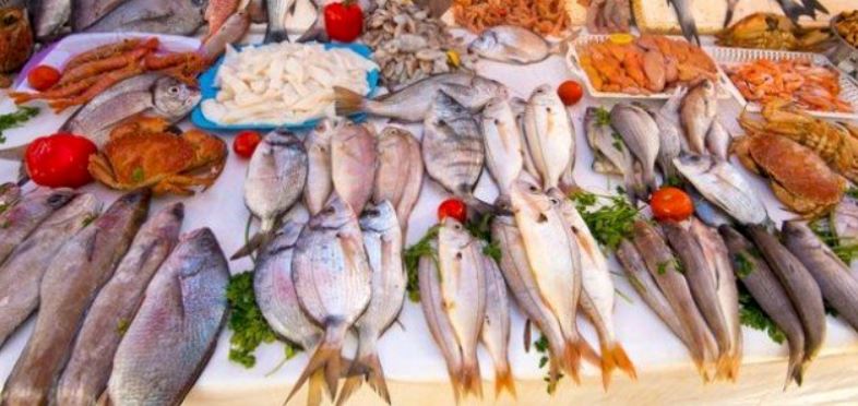 أنواع السمك في المغرب