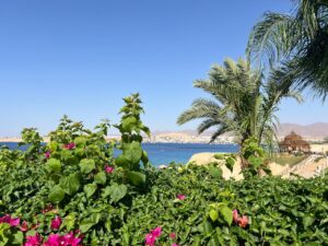 IMG 20240613 WA0196