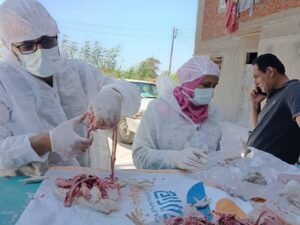 166133e2 5138 42cb b770 4ab7ac4f4058