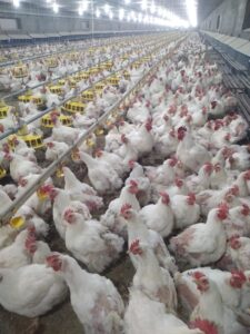 73d27ec2 2eac 4750 901a 724c4cf92a92