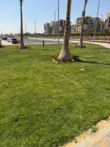 IMG 20250727 WA0018 1