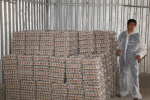 FB IMG 1754217597453