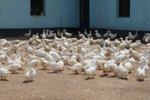 FB IMG 1754217599349