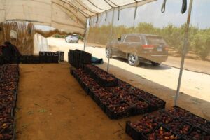 FB IMG 1754217601227