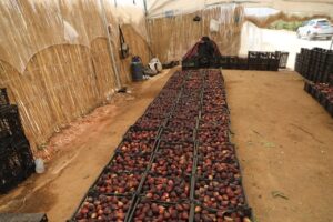 FB IMG 1754217603228