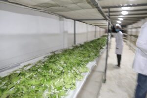 FB IMG 1754217605229