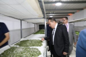 FB IMG 1754217609440