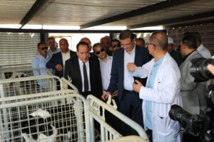 FB IMG 1754217611854