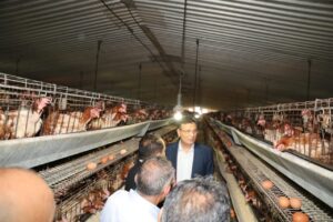 FB IMG 1754217614104