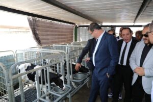 FB IMG 1754217616251