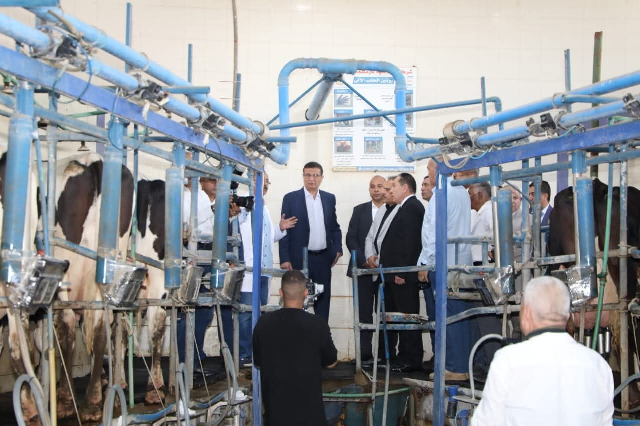 FB IMG 1754217626293