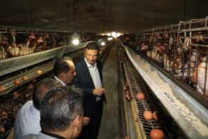 FB IMG 1754217628786