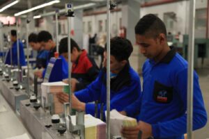 IMG 20250803 WA0045 1