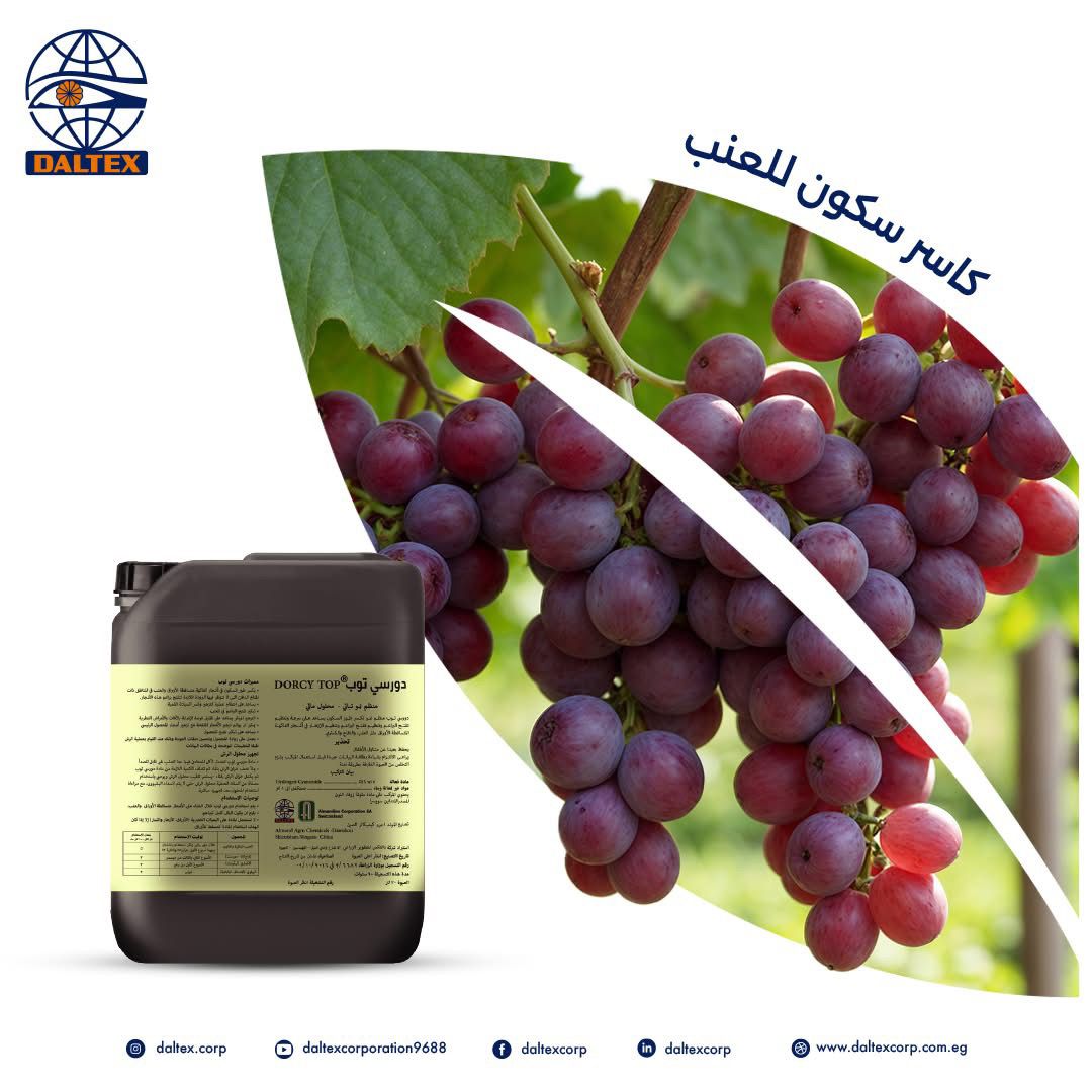 0808bea1 ac32 40f8 b755 372bbf5fee4f