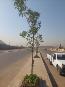 FB IMG 1757152537686