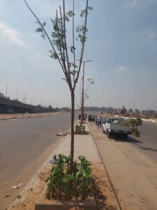 FB IMG 1757152539724