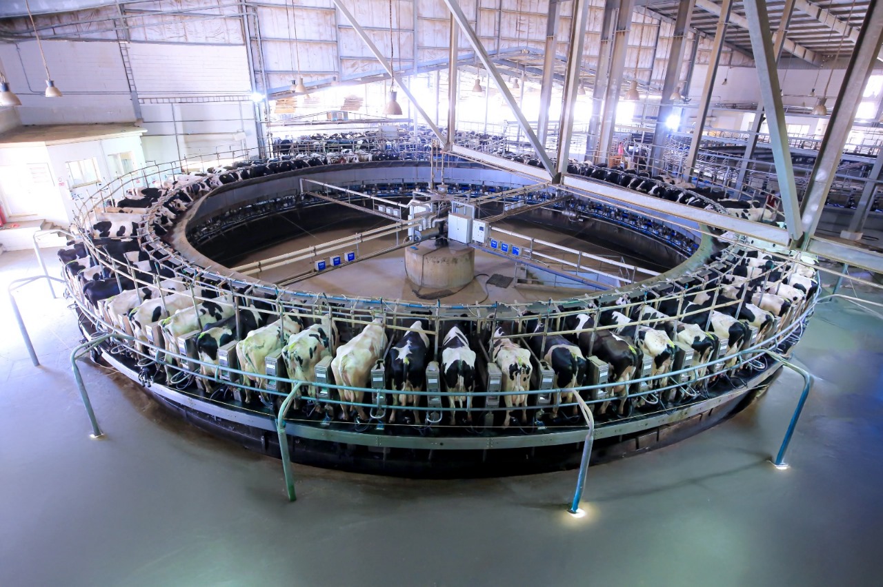 f8d0231f 55c3 426c 8d44 3ed8ec4b2169