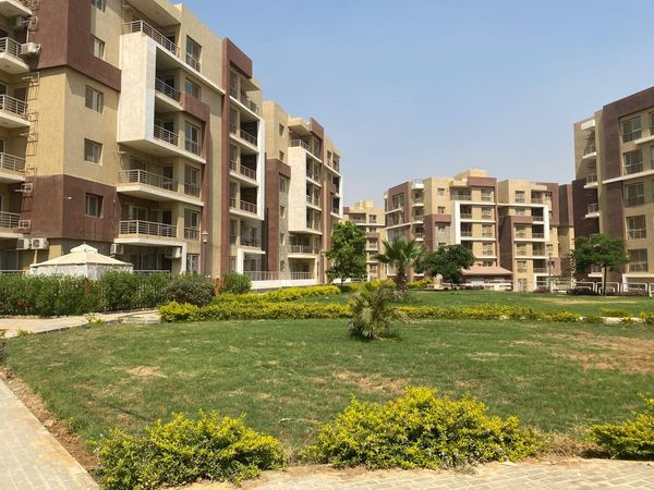 454403912 10230278289954897 1436287754442635535 n