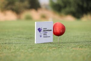 dc2433e8 fb65 4ec1 99d2 5df40d7e87fd